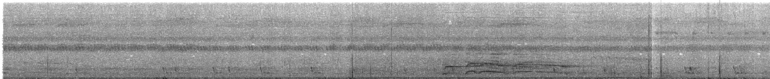 Red Junglefowl - ML644833945