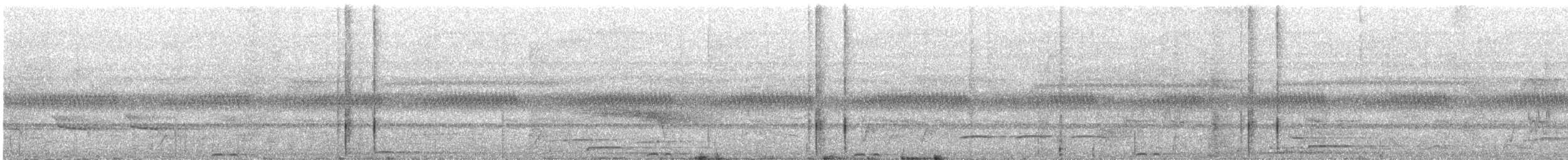 Rufous Motmot - ML644833948