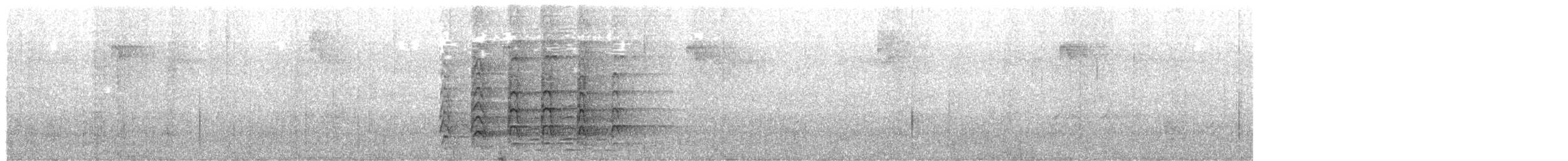 Oriental Pied-Hornbill - ML644834013