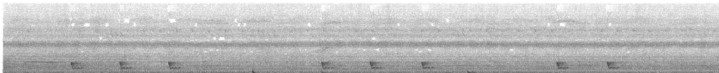 Large-tailed Nightjar - ML644834093