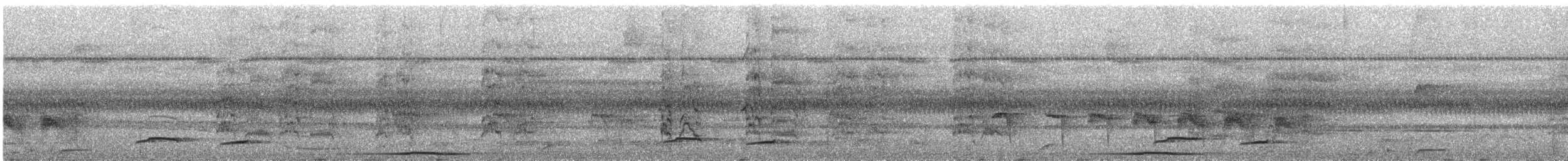 Large-headed Flatbill - ML644834421