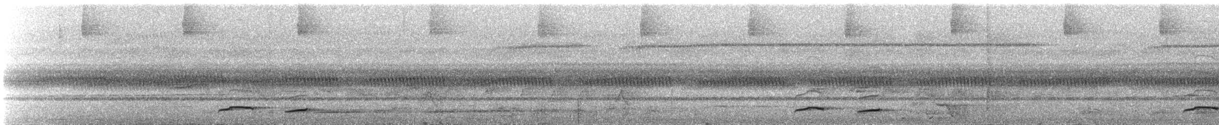 Large-headed Flatbill - ML644834422