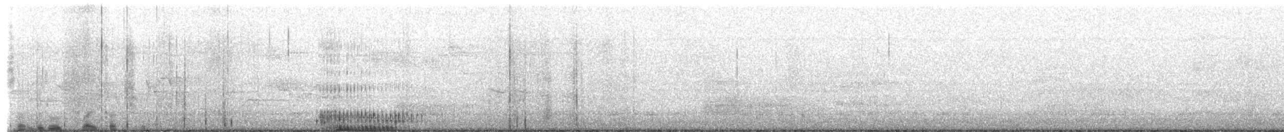 Black-bellied Wren - ML644836100