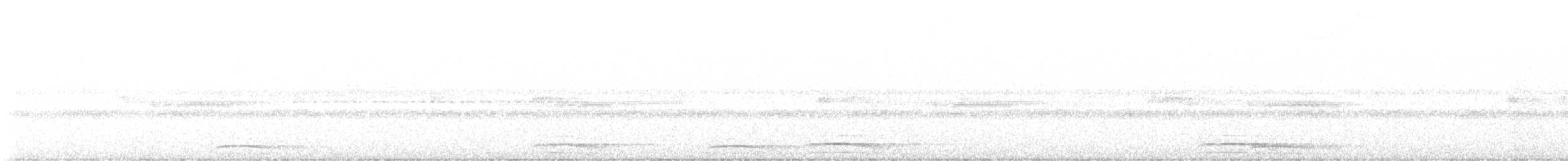 Collared Forest-Falcon - ML644837187