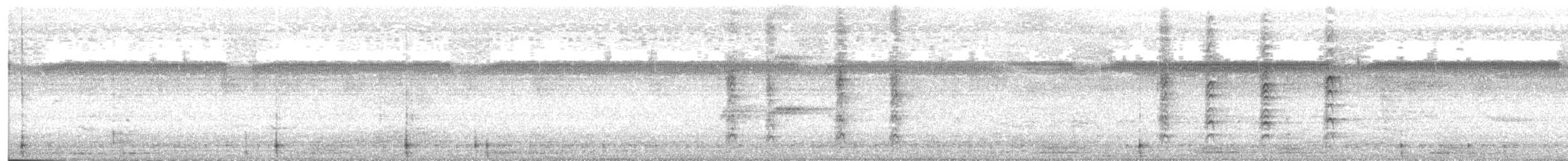 Black-necked Stilt - ML644841599