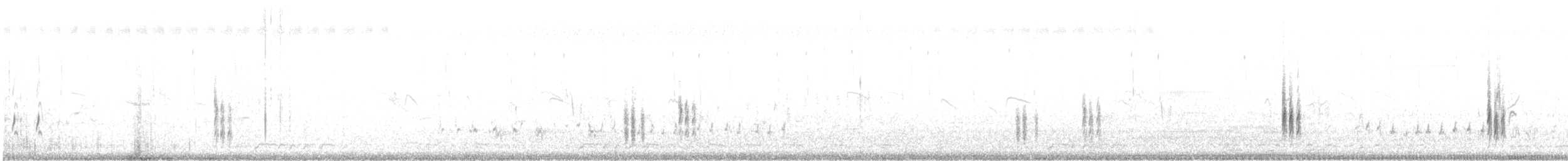 White-shouldered Triller - ML644841853