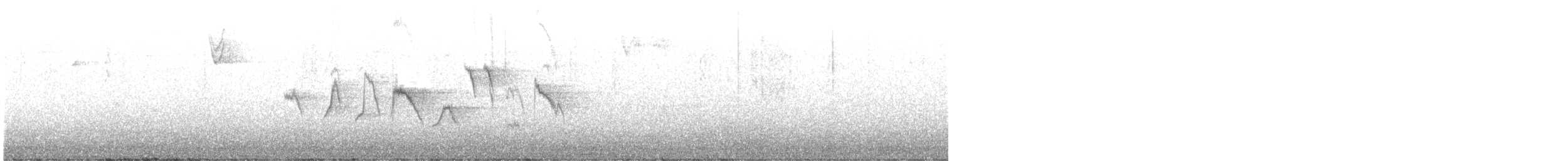 Пестрогрудая овсянка - ML644842652