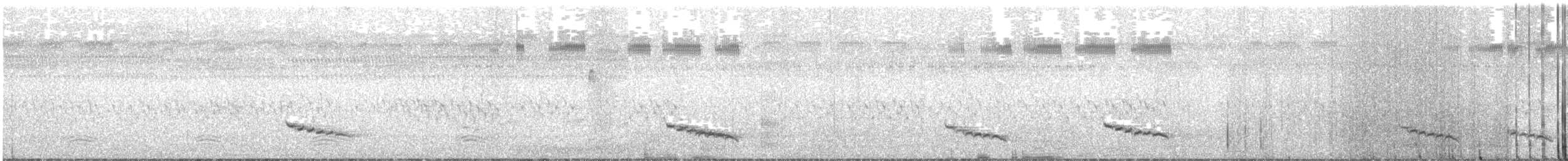 Chestnut-capped Babbler - ML644842893