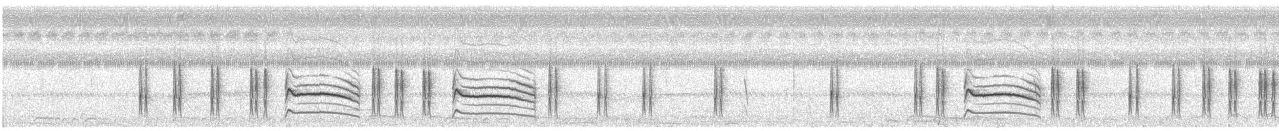 Yellow-eyed Babbler - ML644842998