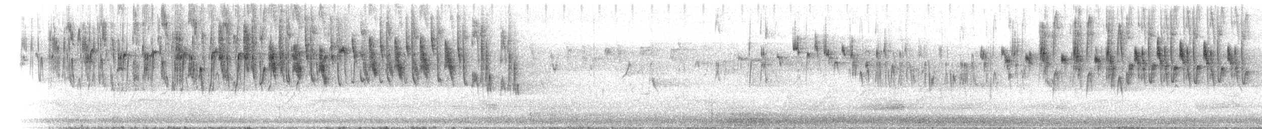 Superb Fairywren - ML644843232