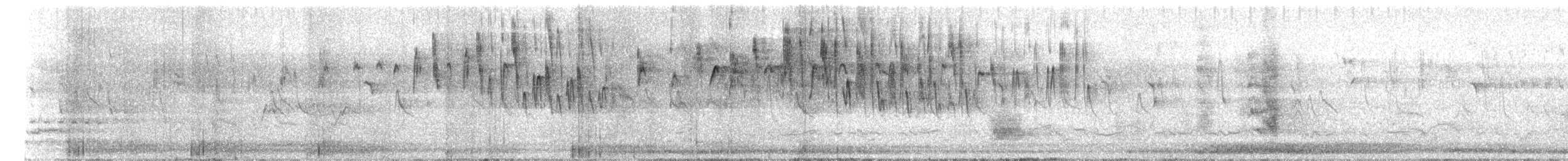 Superb Fairywren - ML644843233