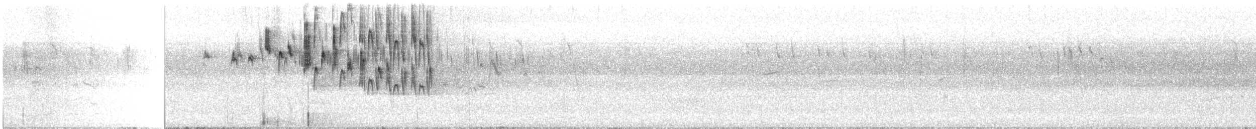 Superb Fairywren - ML644843234