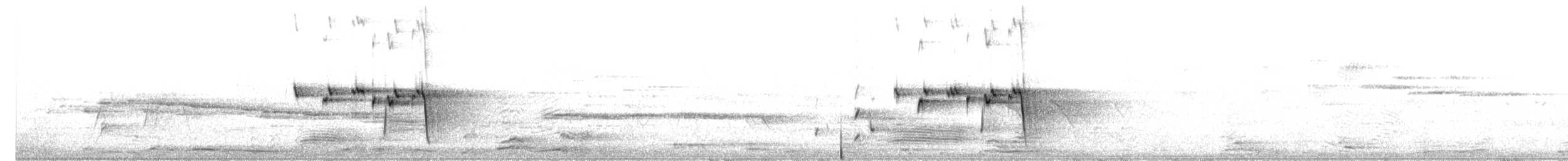 Willie-wagtail - ML644843350