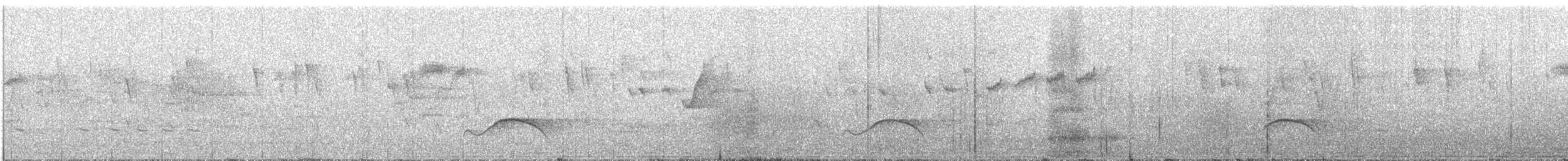 Charlatán de Assam - ML644843572