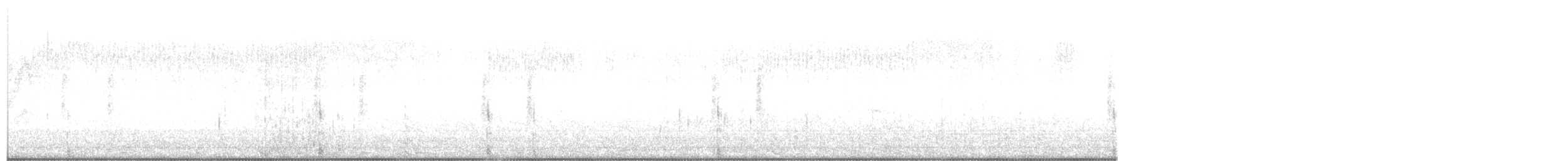 Northern Shoveler - ML644843705