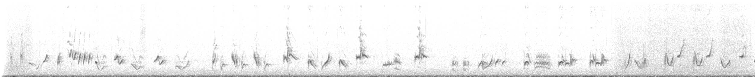 Curve-billed Thrasher - ML644843770