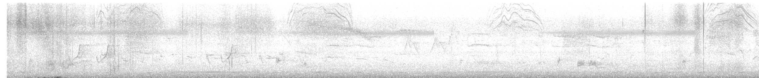 Couturière à longue queue - ML644843950