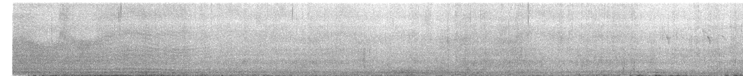 bergeronette sp. - ML644844509