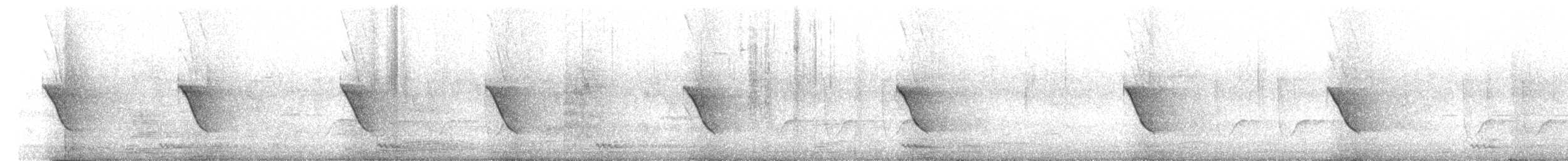 Couturière à longue queue - ML644844899