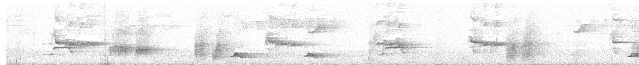 ウォーレスクマタカ - ML644845281