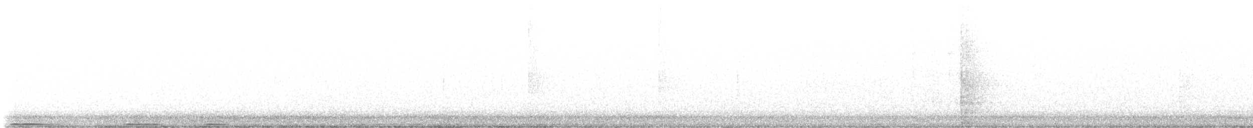 Virginiauhu - ML644845399