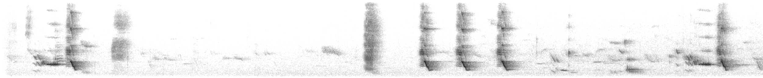 maorihonningeter - ML644845820