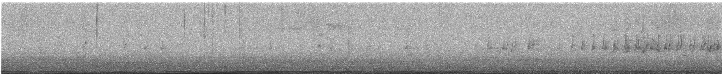 grankorsnebb - ML644845901