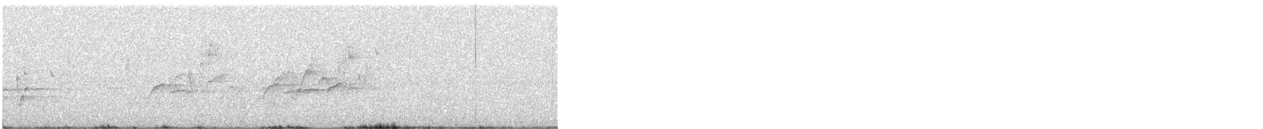 stumpnebb - ML644846578