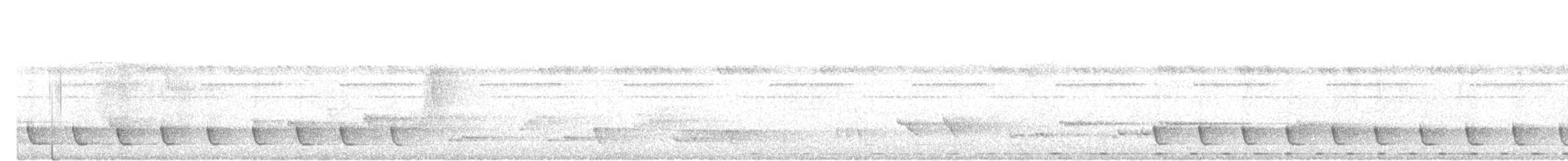 bredstripemeistimal - ML644846597