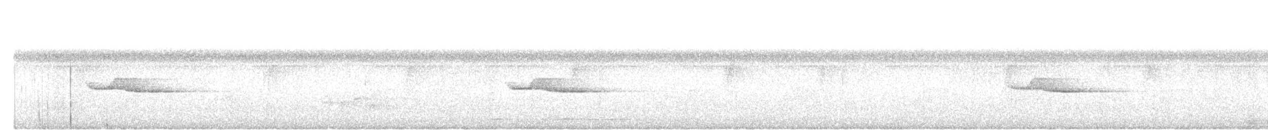 hvitbryntimal - ML644846607