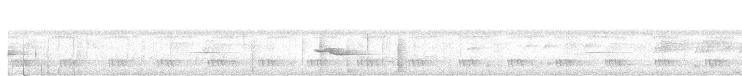 hvitbryntimal - ML644846609