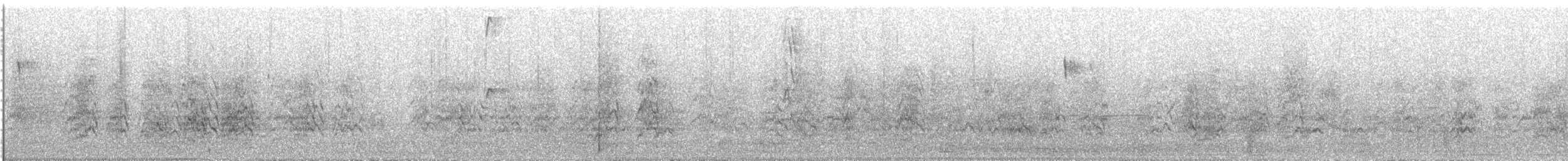 blåhodeparakitt (acuticaudatus/neumanni) - ML644846672