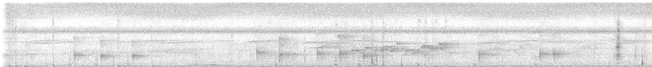 væpnerfasan - ML644846720