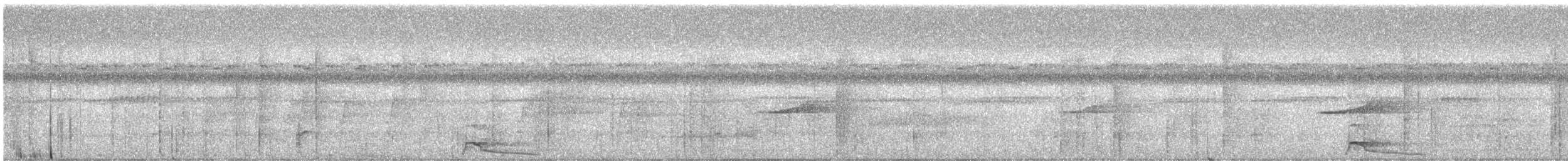 koboltpitta - ML644846726