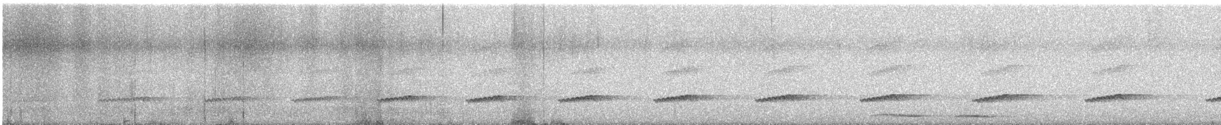 kivi malý - ML644847389