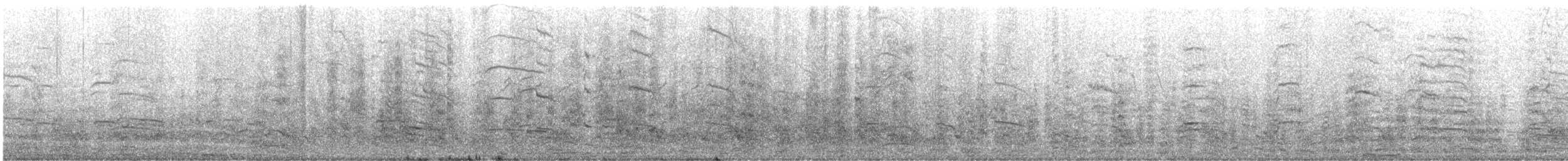 Brown-headed Gull - ML644847502