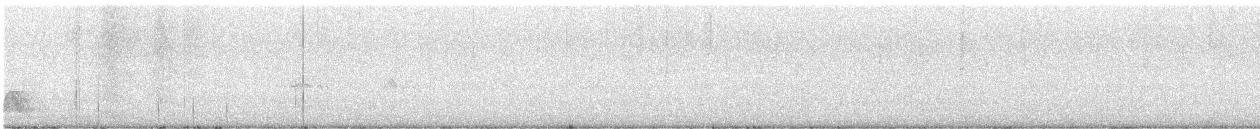 Whiskered Wren - ML644847533