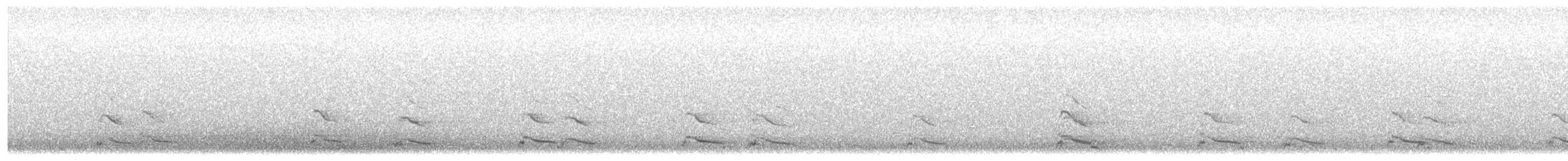 European Herring Gull - ML644847635