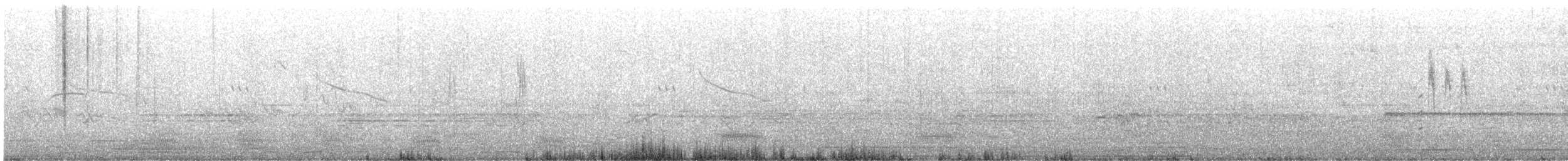 White Wagtail - ML644847652