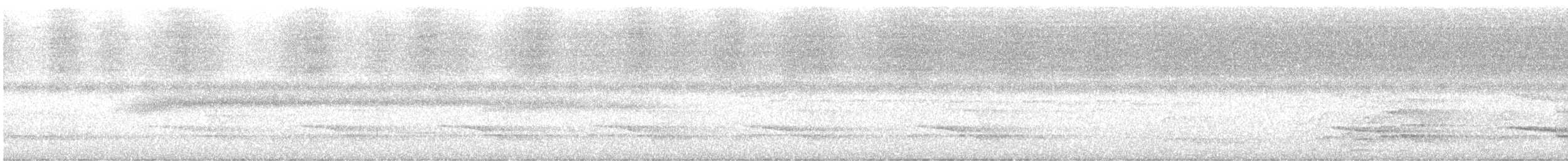 Yellow-tailed Black-Cockatoo - ML644849321