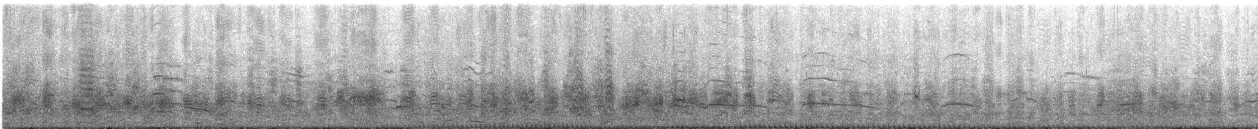 Brown-headed Gull - ML644849551