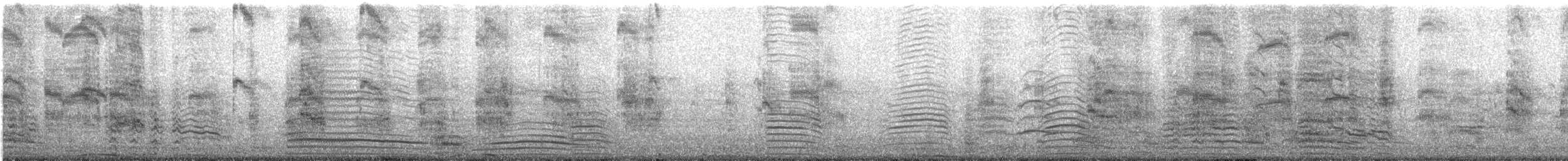 Brown-headed Gull - ML644849552