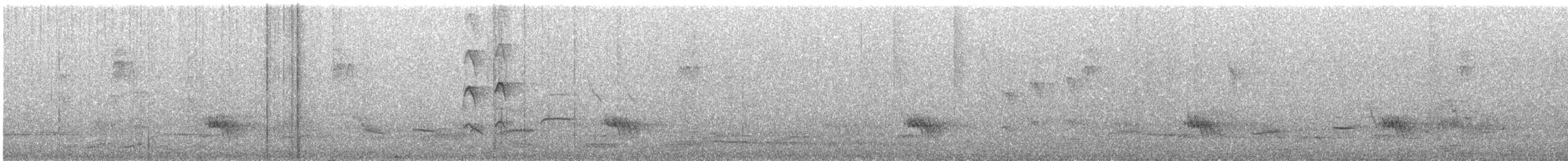 Çizgili Panterkuşu - ML644849587