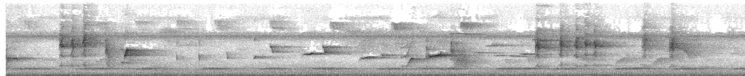 Kömürcü Katmerkuyruk - ML644849588