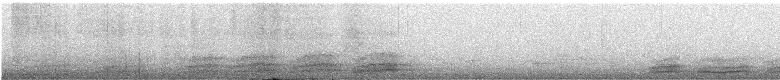 Tasmanya Kuzgunu - ML644849945