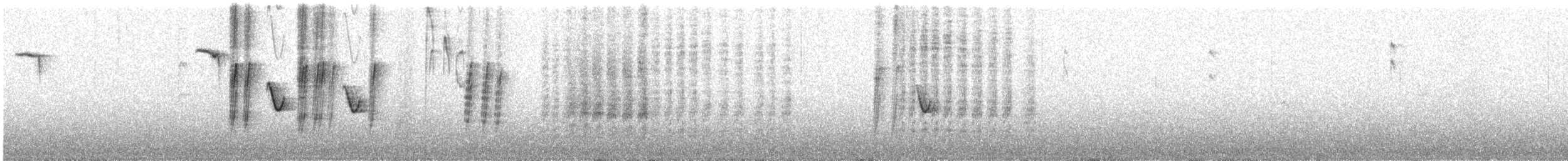 Akça Büyük Baştankara - ML644850138