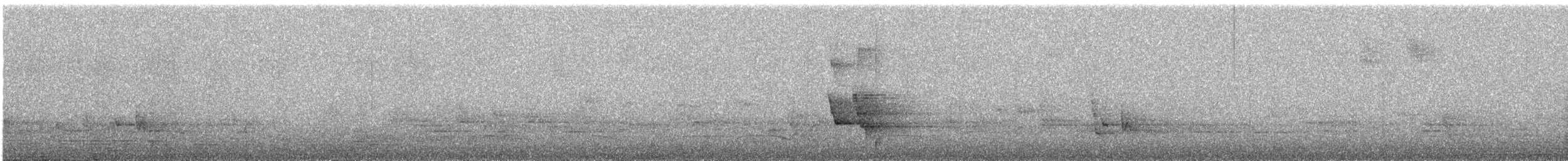 Kara Yakalı Balkuşu - ML644850188