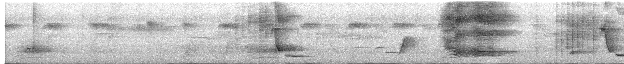 Benekli Kedikuşu - ML644850339