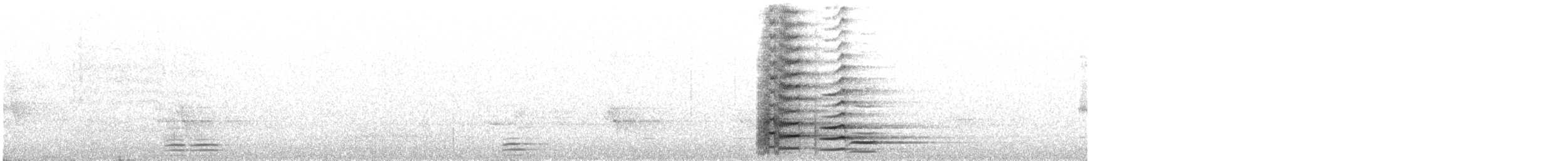 tasmankurrawong - ML644850500