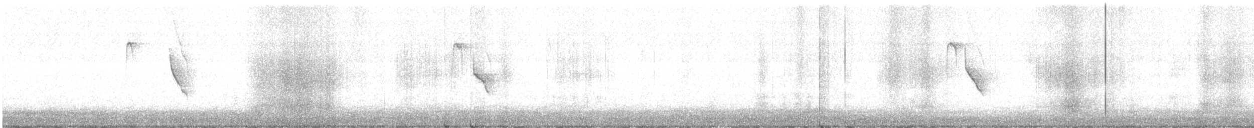 Kayın Baştankarası - ML644850559